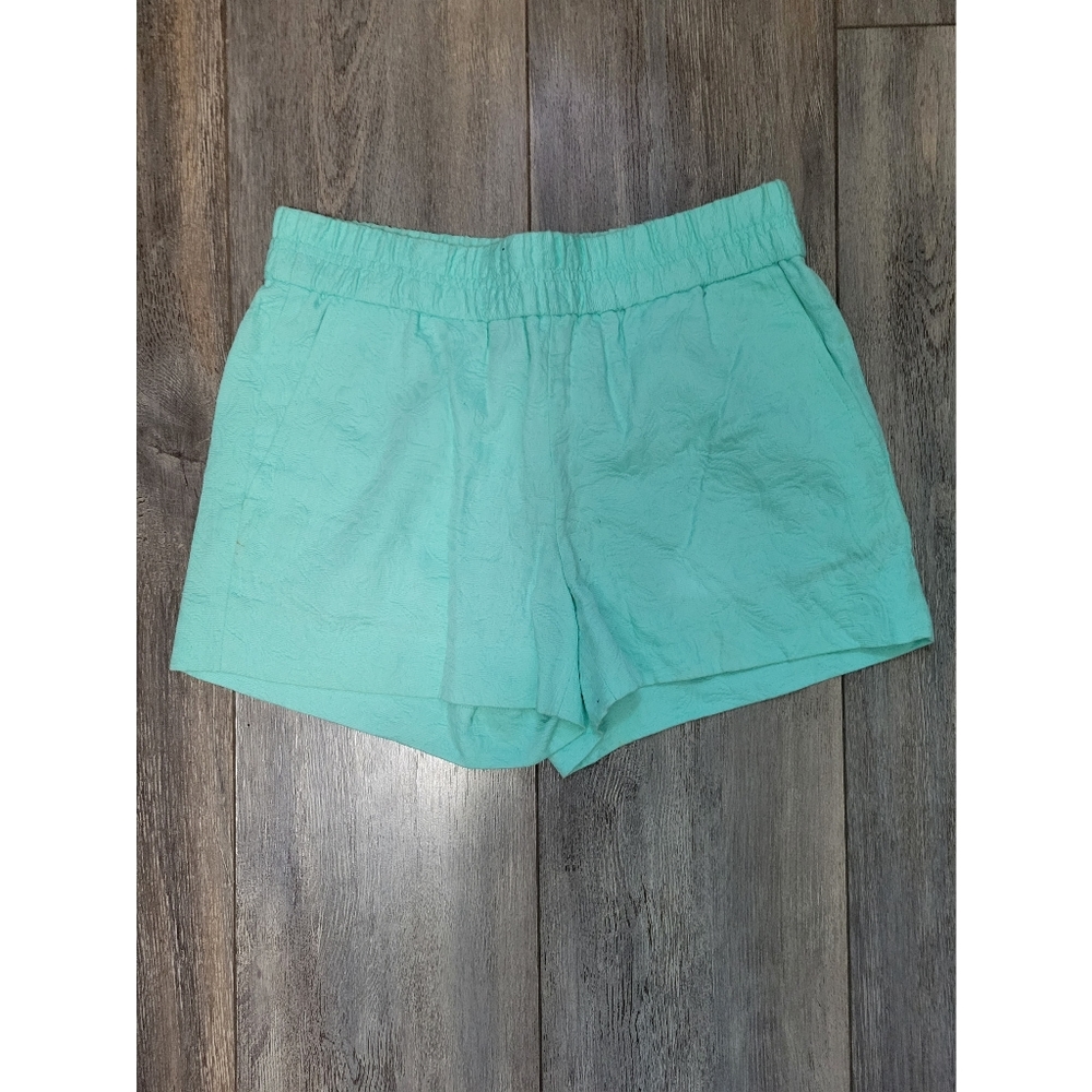 J. Crew Factory Mint Green Jacquard Pull-On Boardwalk Shorts 3"